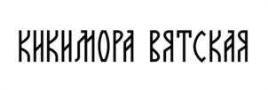 Товарный знак №962196, принадлежит организации Общество с ограниченной ответственностью "Центр активного отдыха" "Летучий корабль", ОГРН 1074345004084, ИНН 4345164430