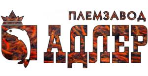 Товарный знак №963014, принадлежит организации Акционерное общество "Племенной форелеводческий завод "Адлер", ОГРН 1192375000850, ИНН 2367006890