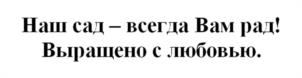 Товарный знак №965096, принадлежит организации Общество с ограниченной ответственностью «НАСЛЕДИЕ», ОГРН 1169102087681, ИНН 9108115331