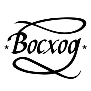 Товарный знак №966511, принадлежит организации Частное общеобразовательное учреждение "Первая народная школа", ОГРН 1137800003846, ИНН 7805340796