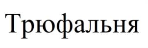 Товарный знак №966795, принадлежит ИП Барышев Данил Сергеевич, ОГРНИП 310784705600211, ИНН 781627243597