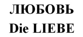 Товарный знак №967019, принадлежит организации Общество с ограниченной ответственностью «ЧИБО СНГ», ОГРН 1037739832118, ИНН 7710502329