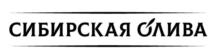 Товарный знак №967892, принадлежит организации Общество с ограниченной ответственностью "СИБИРСКАЯ ОЛИВА", ОГРН 1185476057580, ИНН 5443027547