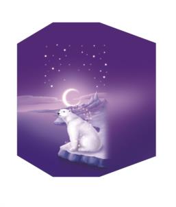 Товарный знак №969858, принадлежит организации Акционерное общество работников «НАРОДНОЕ ПРЕДПРИЯТИЕ КОНФИЛ», ОГРН 1023403848412, ИНН 3445007077