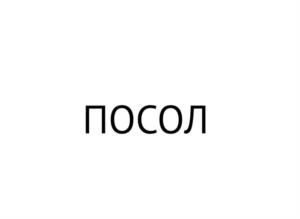 Товарный знак №970430, принадлежит ИП Гордеев Евгений Николаевич, ОГРНИП 312525707300021, ИНН 525706806359