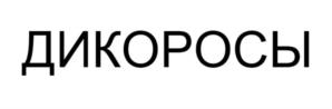 Товарный знак №971557, принадлежит ИП Кулубеков Вадим Равильевич, ОГРНИП 316547600074520, ИНН 540700428390