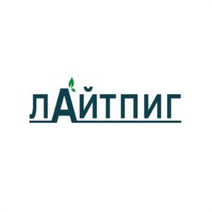 Товарный знак №972082, принадлежит организации Общество с ограниченной ответственностью "АГРОСТА", ОГРН 1135476138687, ИНН 5407489627
