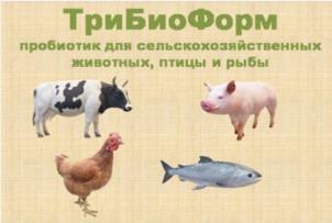Товарный знак №972177, принадлежит организации Общество с ограниченной ответственностью "Научно-производственное объединение "ЭКОРОСТ", ОГРН 1177746444446, ИНН 7731363972