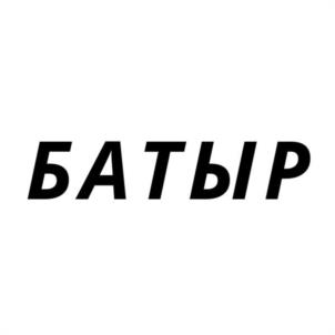 Товарный знак №972233, принадлежит организации Общество с ограниченной ответственностью ПКФ "БАТЫР", ОГРН 1220200043183, ИНН 261055276