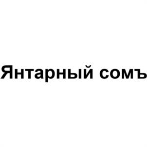 Товарный знак №972896, принадлежит организации ОБЩЕСТВО С ОГРАНИЧЕННОЙ ОТВЕТСТВЕННОСТЬЮ ПИВОБЕЗАЛКОГОЛЬНЫЙ ЗАВОД "ГУСЬ-ХРУСТАЛЬНЫЙ", ОГРН 1053300316288, ИНН 3304012532