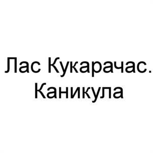 Товарный знак №973342, принадлежит организации Общество с ограниченной ответственностью «Райт», ОГРН 1221800000509, ИНН 1841102877