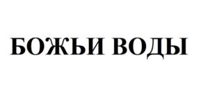Товарный знак №974482, принадлежит ИП Федоров Евгений Евгеньевич, ОГРНИП 318237500328736, ИНН 263000906404