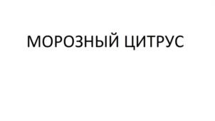 Товарный знак №974599, принадлежит организации Общество с ограниченной ответственностью «Хаусхерц Корпорэйшн», ОГРН 1204000005010, ИНН 4025456360