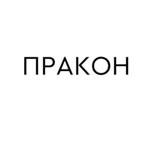 Товарный знак №974872, принадлежит организации Общество с ограниченной ответственностью "Пракон", ОГРН 1197746194513, ИНН 7714441613