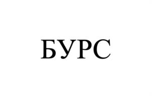 Товарный знак №975478, принадлежит организации Общество с ограниченной ответственностью «Старорусприбор-Горелки», ОГРН 1155321009392, ИНН 5322014938