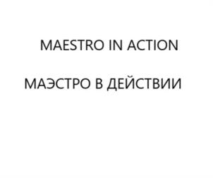 Товарный знак №975691, принадлежит ИП Маслов Денис Сергеевич, ОГРНИП 322508100219240, ИНН 519013747357