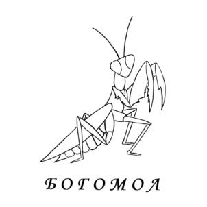 Товарный знак №975892, принадлежит организации Общество с ограниченной ответственностью «ФИРМА УНИВЕРСАЛ-СЕРВИС», ОГРН 1159102047818, ИНН 9111013883