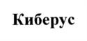 Товарный знак №976512, принадлежит организации Акционерное общество "Сайберус", ОГРН 1217700300817, ИНН 9728040157