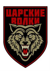 Товарный знак №976849, принадлежит организации Автономная некоммерческая организация «Центр развития транспортных технологий», ОГРН 1217700636306, ИНН 9724066980