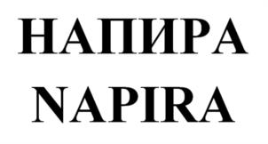 Товарный знак №979237, принадлежит организации Общество с ограниченной ответственностью «Развитие», ОГРН 1196196005543, ИНН 6167145300