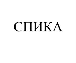 Товарный знак №979772, принадлежит организации Общество с ограниченной ответственностью «Меркатор Холдинг», ОГРН 1037709006312, ИНН 7709401982