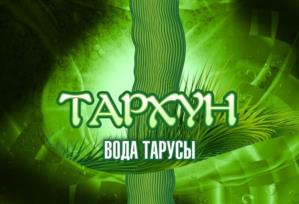 Товарный знак №980844, принадлежит организации Общество с ограниченной ответственностью «Вода Тарусы», ОГРН 1224000004370, ИНН 4029065696