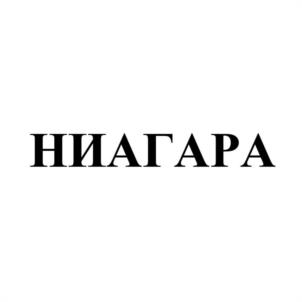 Товарный знак №981674, принадлежит организации Общество с ограниченной ответственностью "Магистраль-НН", ОГРН 1025202271467, ИНН 5256036414