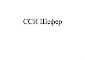 Товарный знак №982483, принадлежит организации Общество с ограниченной ответственностью «ССИ Шефер», ОГРН 1117847369837, ИНН 7801555350