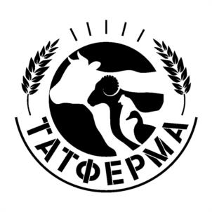 Товарный знак №982840, принадлежит ИП Мифтахов Рамиль Фоатович, ОГРНИП 320169000125705, ИНН 165102874390
