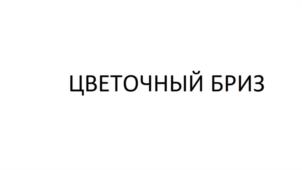 Товарный знак №983331, принадлежит организации Общество с ограниченной ответственностью "Хаусхерц Корпорэйшн", ОГРН 1204000005010, ИНН 4025456360