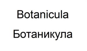 Товарный знак №984433, принадлежит организации Общество с ограниченной ответственностью "МОДЕЛЬ ИННОВАЦИОННЫХ РЕШЕНИЙ", ОГРН 1187746726364, ИНН 7735178106