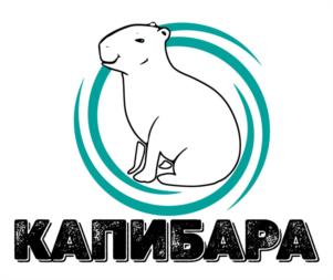 Товарный знак №985307, принадлежит ИП Боровенский Александр Васильевич, ОГРНИП 318547600163879, ИНН 220602507950