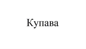Товарный знак №987120, принадлежит организации ОБЩЕСТВО С ОГРАНИЧЕННОЙ ОТВЕТСТВЕННОСТЬЮ "ЗАВОД КАРБОЦЕЛ", ОГРН 1106659009038, ИНН 6659208153