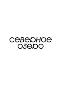 Товарный знак №987224, принадлежит организации Общество с ограниченной ответственностью "СЕВЕРНОЕ ОЗЕРО", ОГРН 1224400003080, ИНН 4400009439