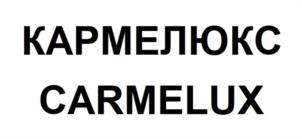 Товарный знак №989071, принадлежит организации Общество с ограниченной ответственностью "САНТА СНГ", ОГРН 1115024009803, ИНН 5024125199