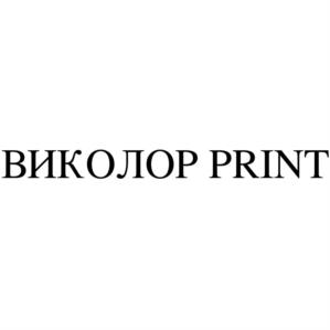 Товарный знак №989311, принадлежит организации Общество с ограниченной ответственностью "КОМБИНАТ "ВОЛНА", ОГРН 1022402303725, ИНН 2464042685