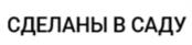 Товарный знак №991850, принадлежит организации Общество с ограниченной ответственностью «Агроном-сад», ОГРН 1104811000238, ИНН 4811012438