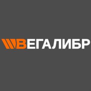 Товарный знак №993395, принадлежит организации Общество с ограниченной ответственностью "ВЕГАЛИБР", ОГРН 1187746950511, ИНН 9731016281