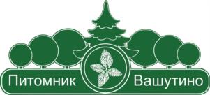 Товарный знак №993939, принадлежит организации Общество с ограниченной ответственностью «Питомник Вашутино», ОГРН 1075047014228, ИНН 5047087743