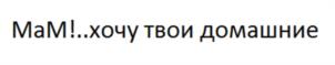 Товарный знак №994213, принадлежит ИП Кокорхоева Елизавета Микаиловна, ОГРНИП 322060000008990, ИНН 60606083099