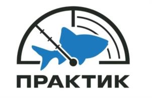 Товарный знак №994295, принадлежит организации Общество с ограниченной ответственностью «Практик-НЦ», ОГРН 1087746089276, ИНН 7735537073