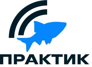 Товарный знак №994296, принадлежит организации Общество с ограниченной ответственностью «Практик-НЦ», ОГРН 1087746089276, ИНН 7735537073
