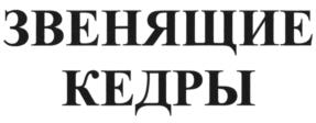 Товарный знак №994617, принадлежит организации Общество с ограниченной ответственностью "Байкальская", ОГРН 1243800002665, ИНН 3849100258