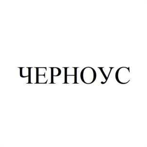Товарный знак №995023, принадлежит ИП Давиденко Дмитрий Сергеевич, ОГРНИП 308616434700016, ИНН 616704117111