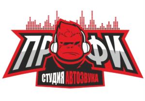 Товарный знак №995747, принадлежит ИП ЧОП АЛЕКСЕЙ МИХАЙЛОВИЧ, ОГРНИП 319502700037139, ИНН 691505710791