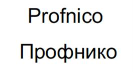 Товарный знак №997623, принадлежит организации Общество с ограниченной ответственностью "ПРОФНИКО", ОГРН 1227700030250, ИНН 9724069155