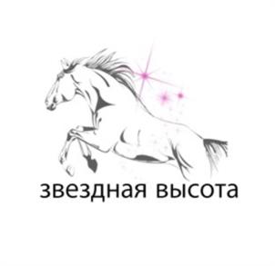 Товарный знак №997733, принадлежит организации Общество с ограниченной ответственностью Конно-спортивный клуб «Звездная высота», ОГРН 1232300008137, ИНН 2352058694