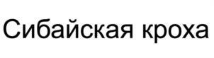 Товарный знак №997987, принадлежит организации Общество с ограниченной ответственностью «СИБАЙСКИЙ МЯСОКОМБИНАТ», ОГРН 1220200042150, ИНН 267024806