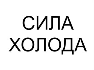 Товарный знак №999122, принадлежит организации Акционерное общество "Сила Холода", ОГРН 1247700232240, ИНН 9703176290