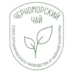 Товарный знак №999310, принадлежит организации Общество с ограниченной ответственностью «ЧЕРНОМОРСКИЙ ЧАЙ», ОГРН 1242300015803, ИНН 2366047614